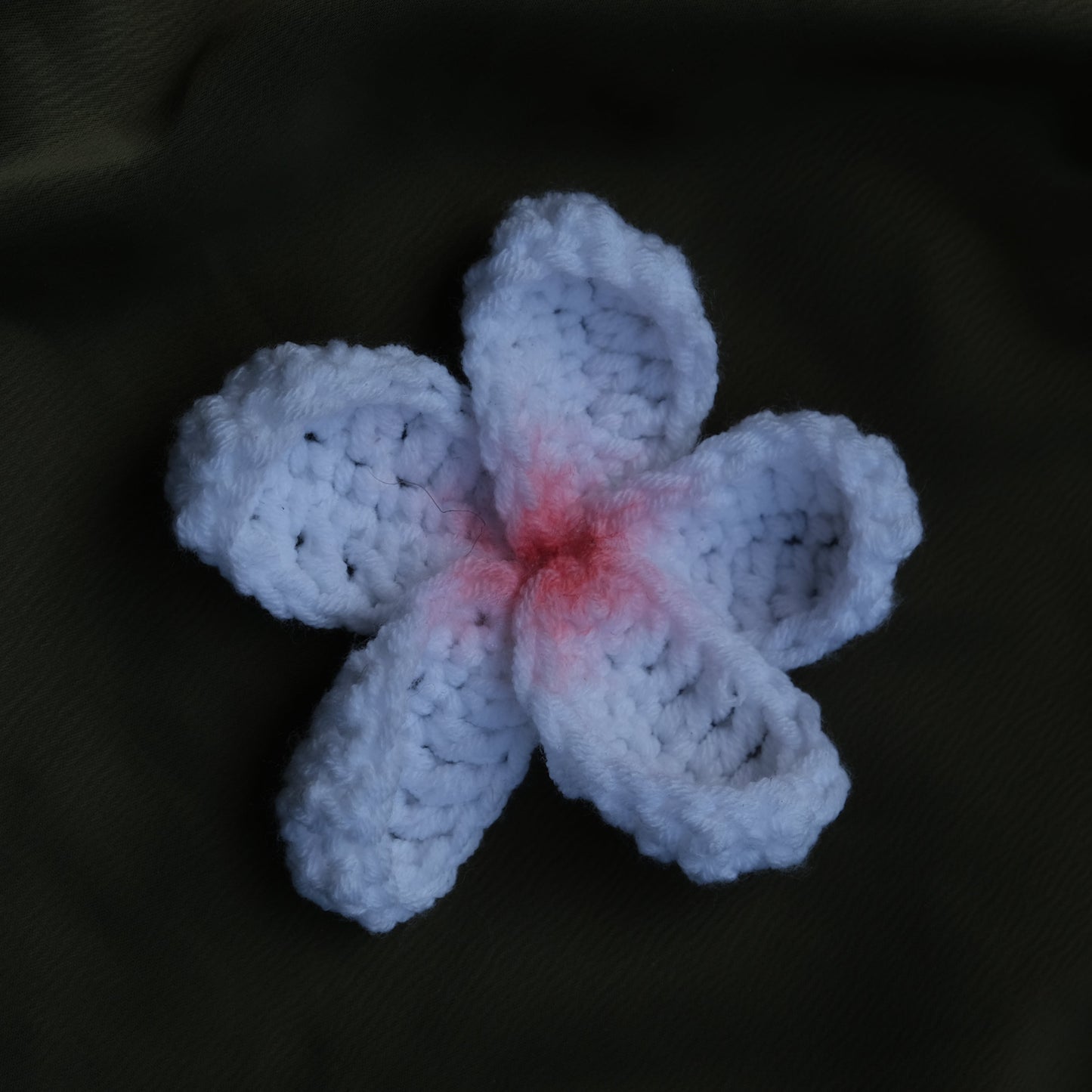 AVANA Hairclip - Taille M